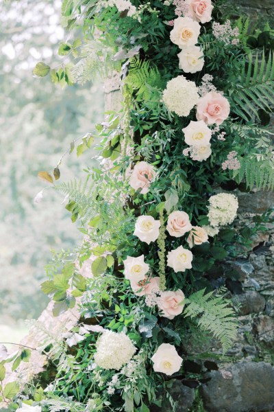 bed of roses flowers