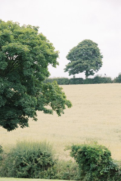 farm forest setting trees