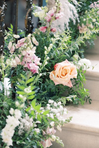 close up of pink roses flowers