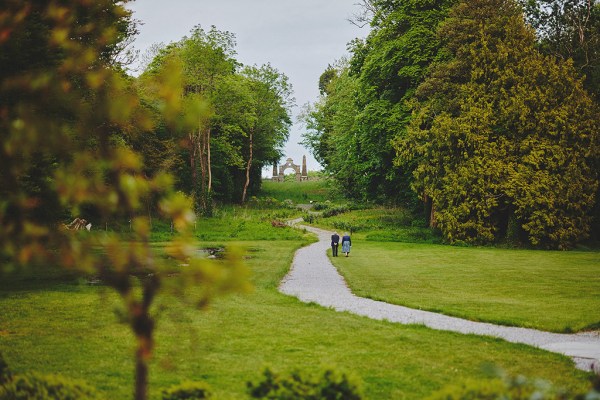 Empty garden shot and pathway trees