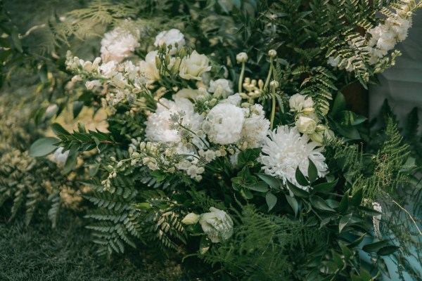 white roses flowers