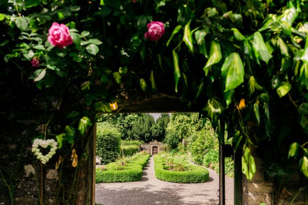 garden view pathway roses flowers