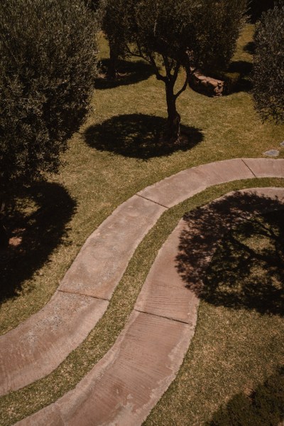 pathway trees in garden