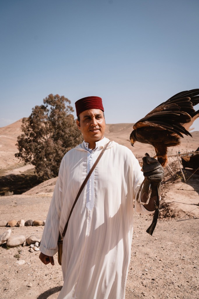 man holding up hawk / bird