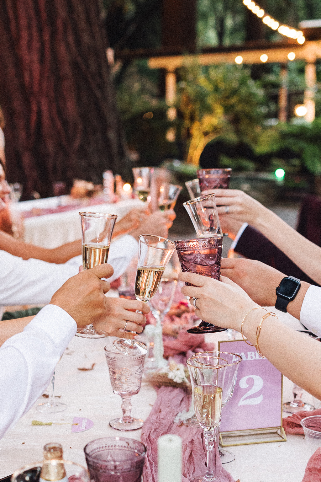 guests cheers with beverages cocktails