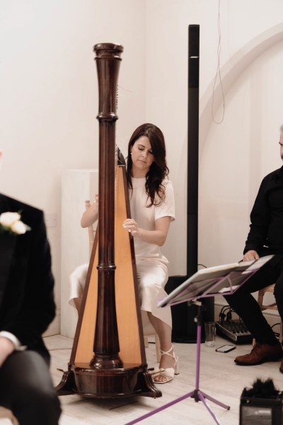 woman plays the harp